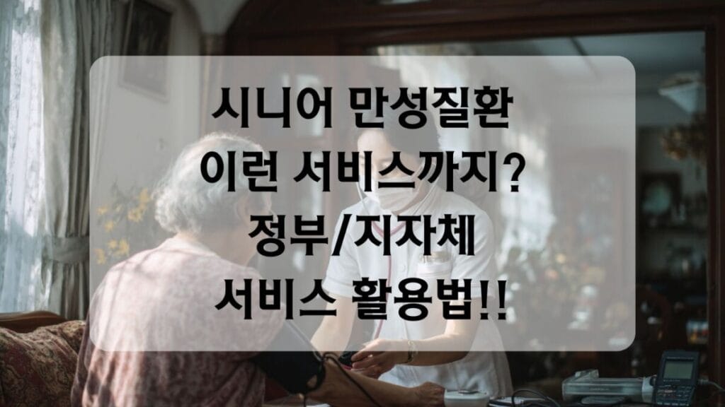 시니어 만성질환서비스