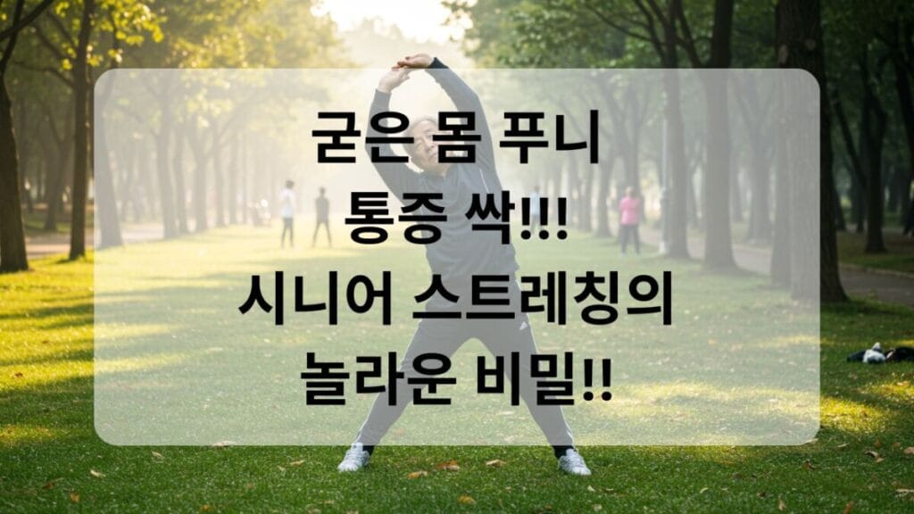 썸네일-스트레칭 1 시니어 건강